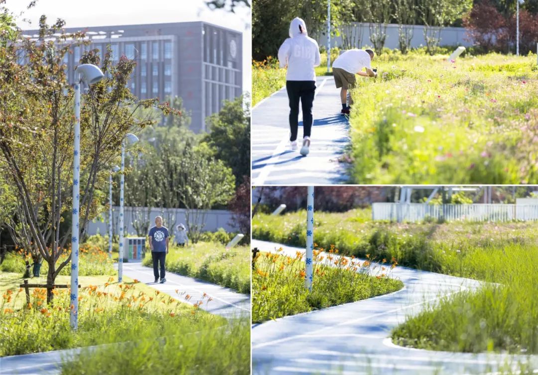 好玩又不用预约的儿童乐园,北京周末带娃去免费儿童乐园