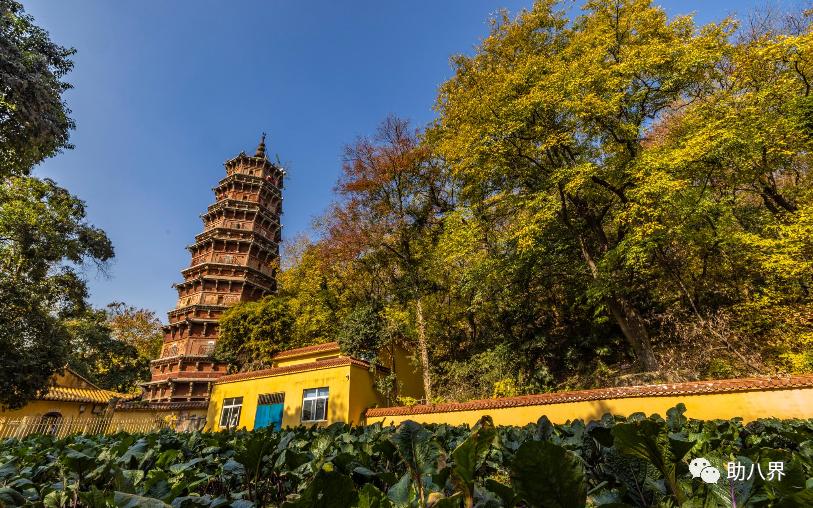 武汉十大旅游景点排名,武汉江夏网红打卡景点大全