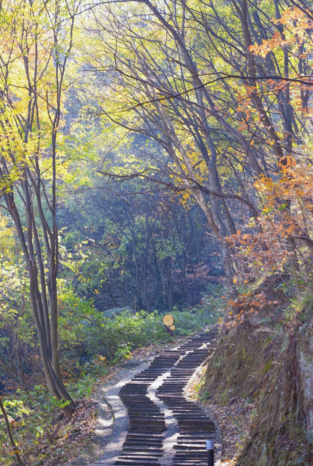 三天两晚安徽初冬之旅，带你一起感受下绿水青山，红色六安
