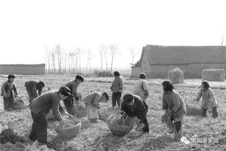 记录60年代真实中国生活,50年代百姓生活的真实影像
