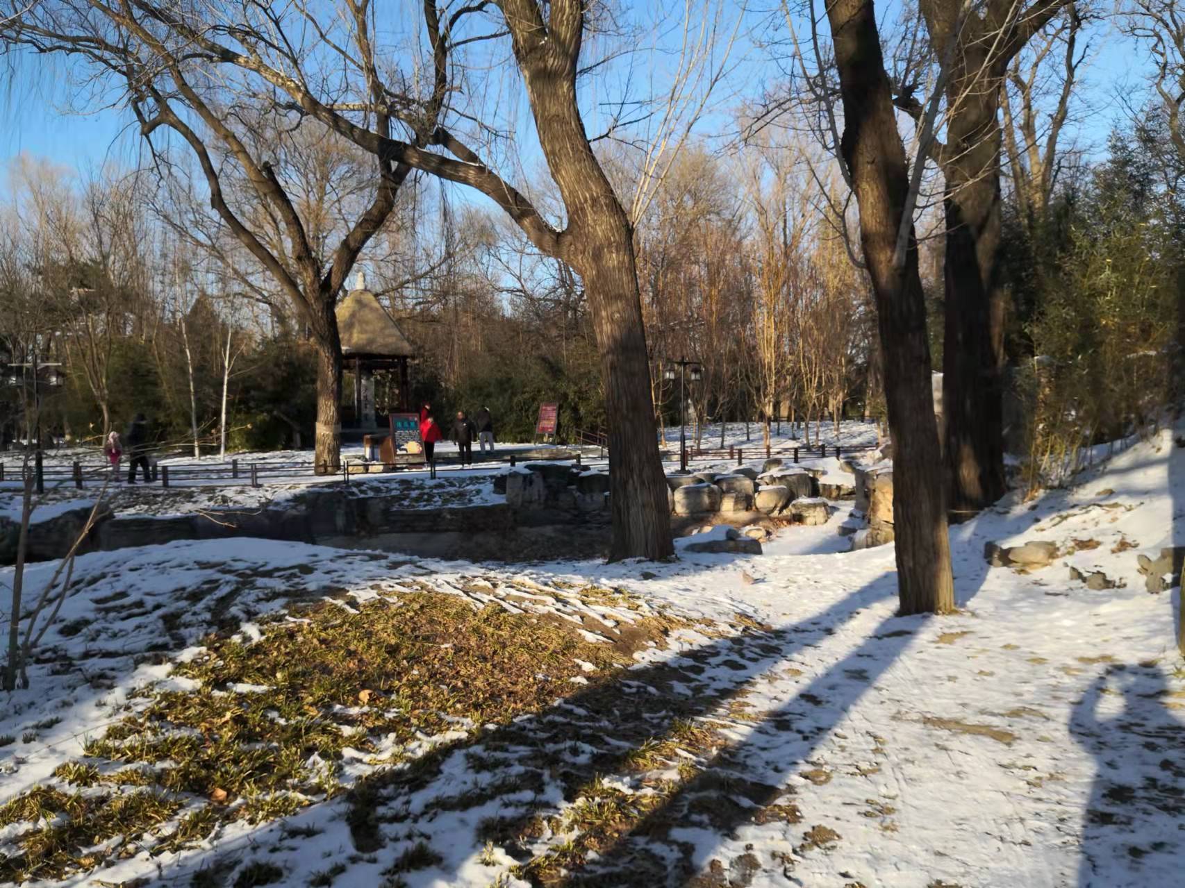 过年了天蓝蓝（诗歌十首）北京张新贵