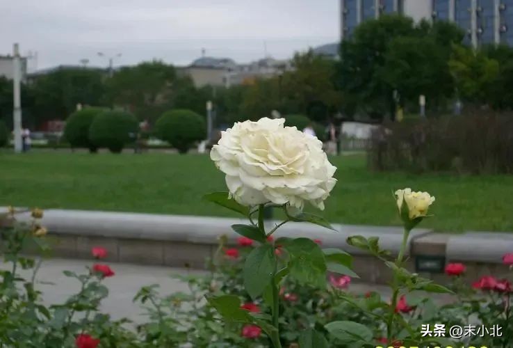 人到中年应该控制欲望享受孤独,人到了中年一定要懂得控制欲望