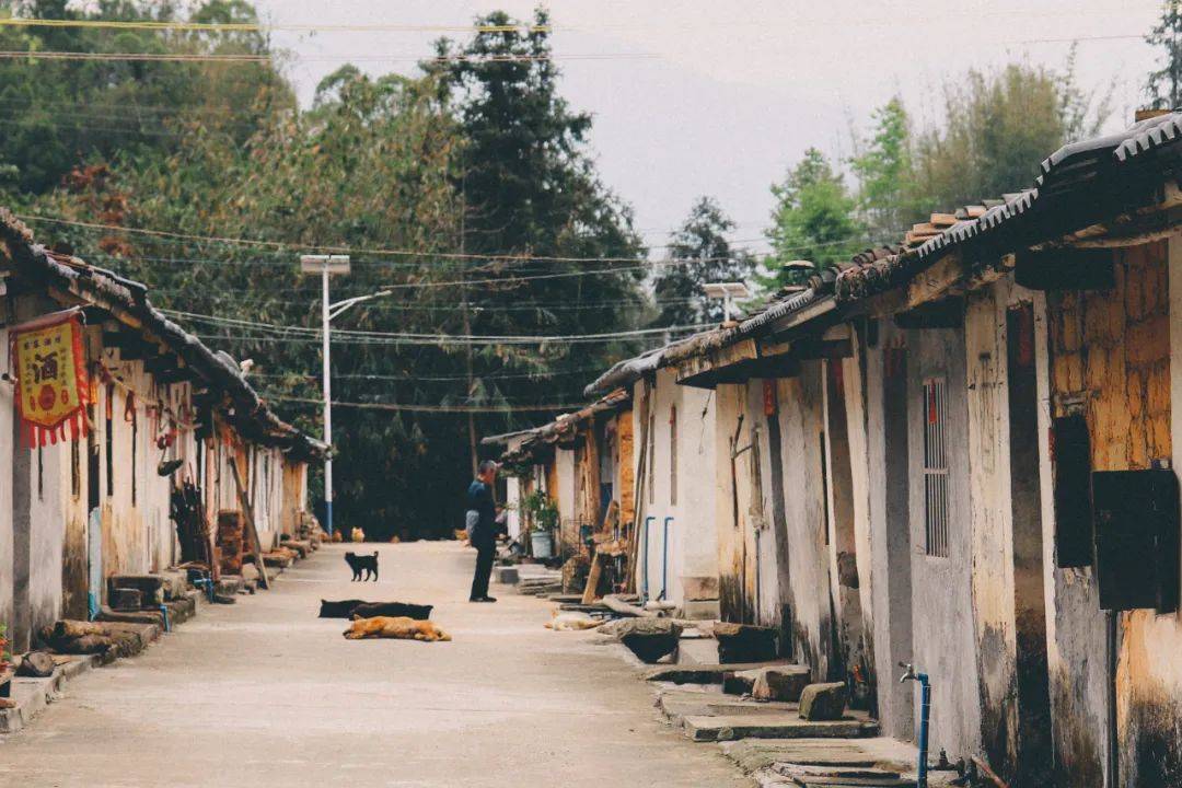 逃离考研考公985大学生疫情后开民宿从投资百万到负债累累