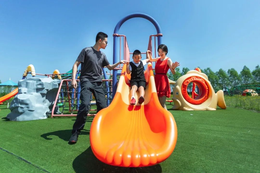 湿地可以开发什么旅游项目,黑龙江旅游必去十大湿地排名