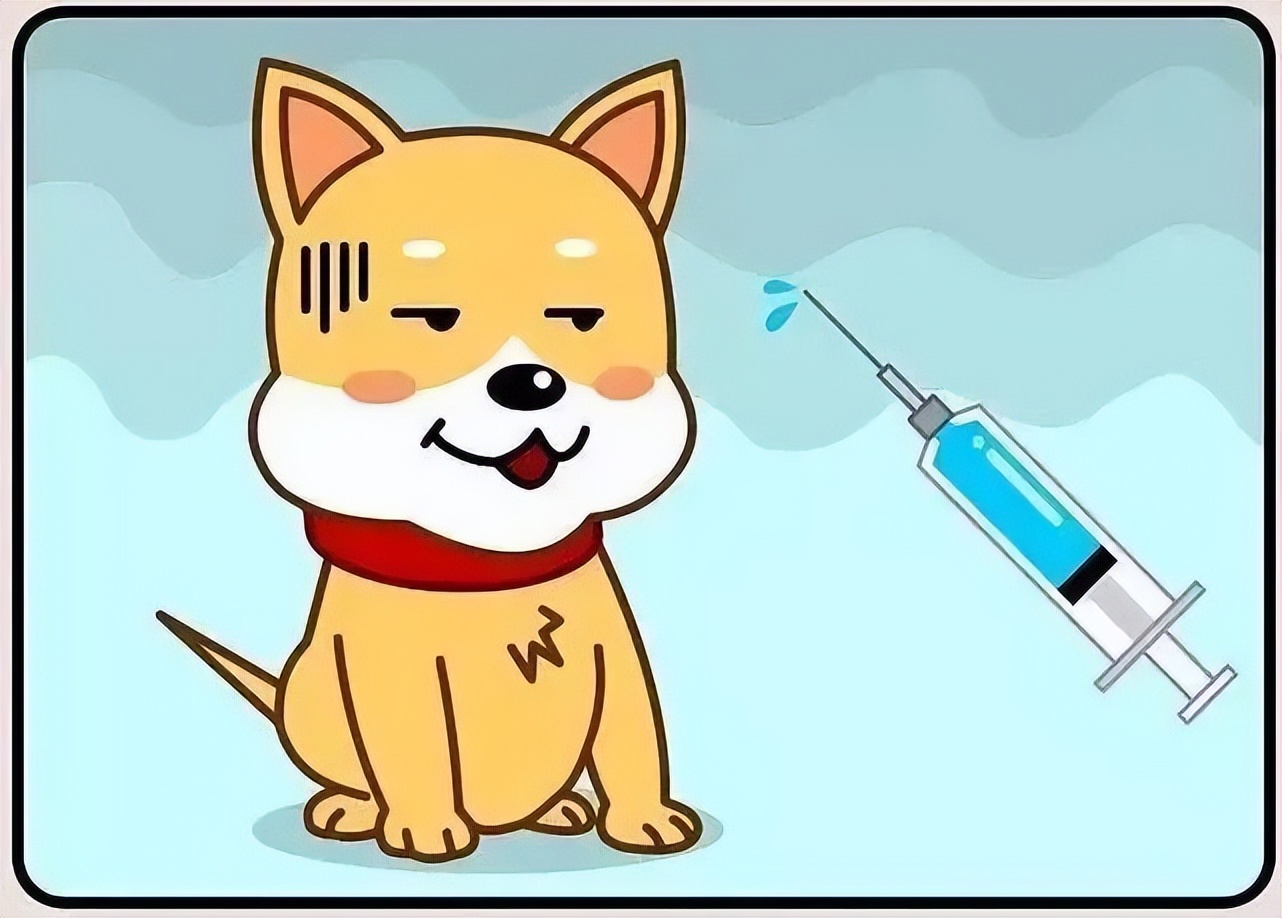 致市民朋友的一封信,致广大居民文明养犬的一封信