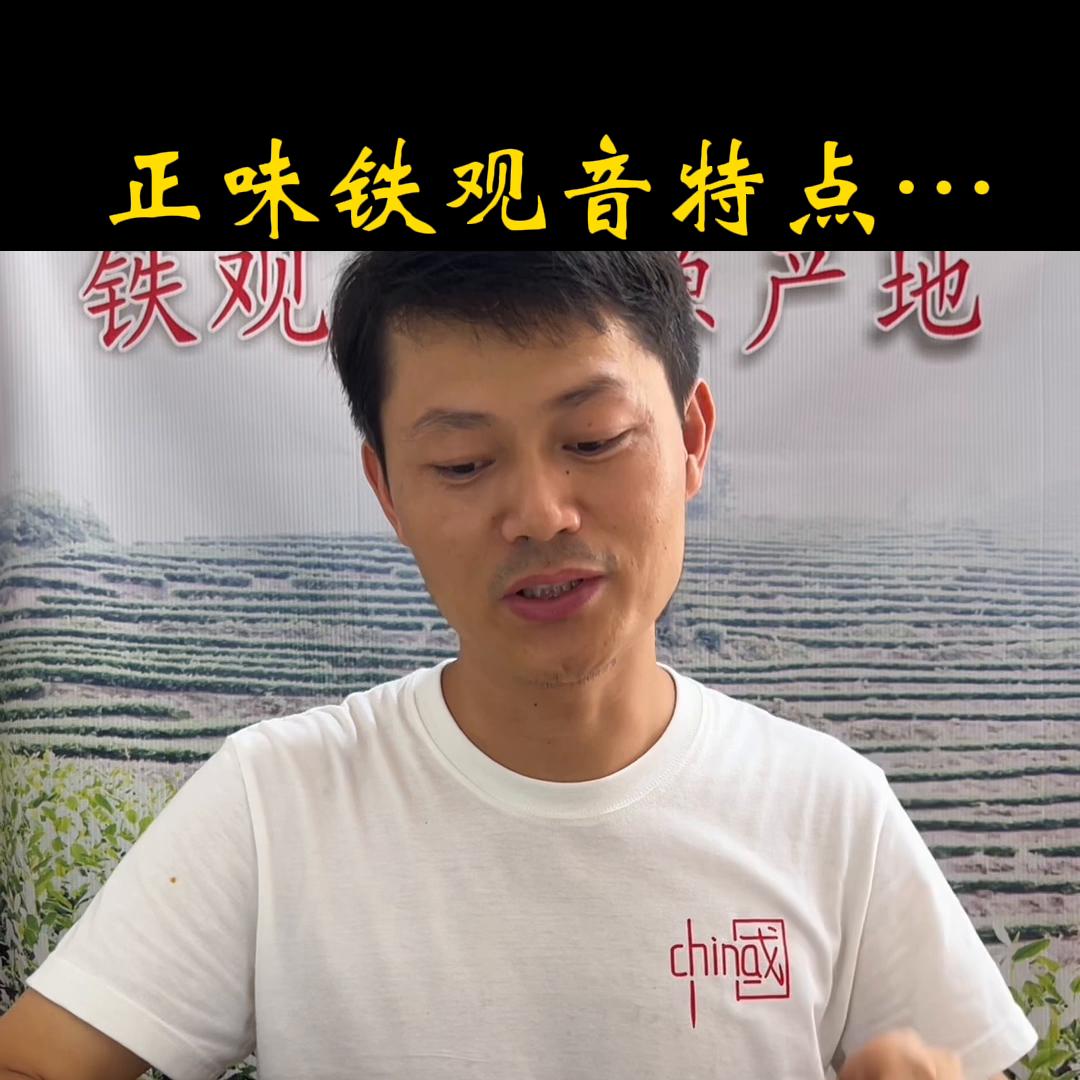 怎么买正味铁观音,铁观音正味跟原味