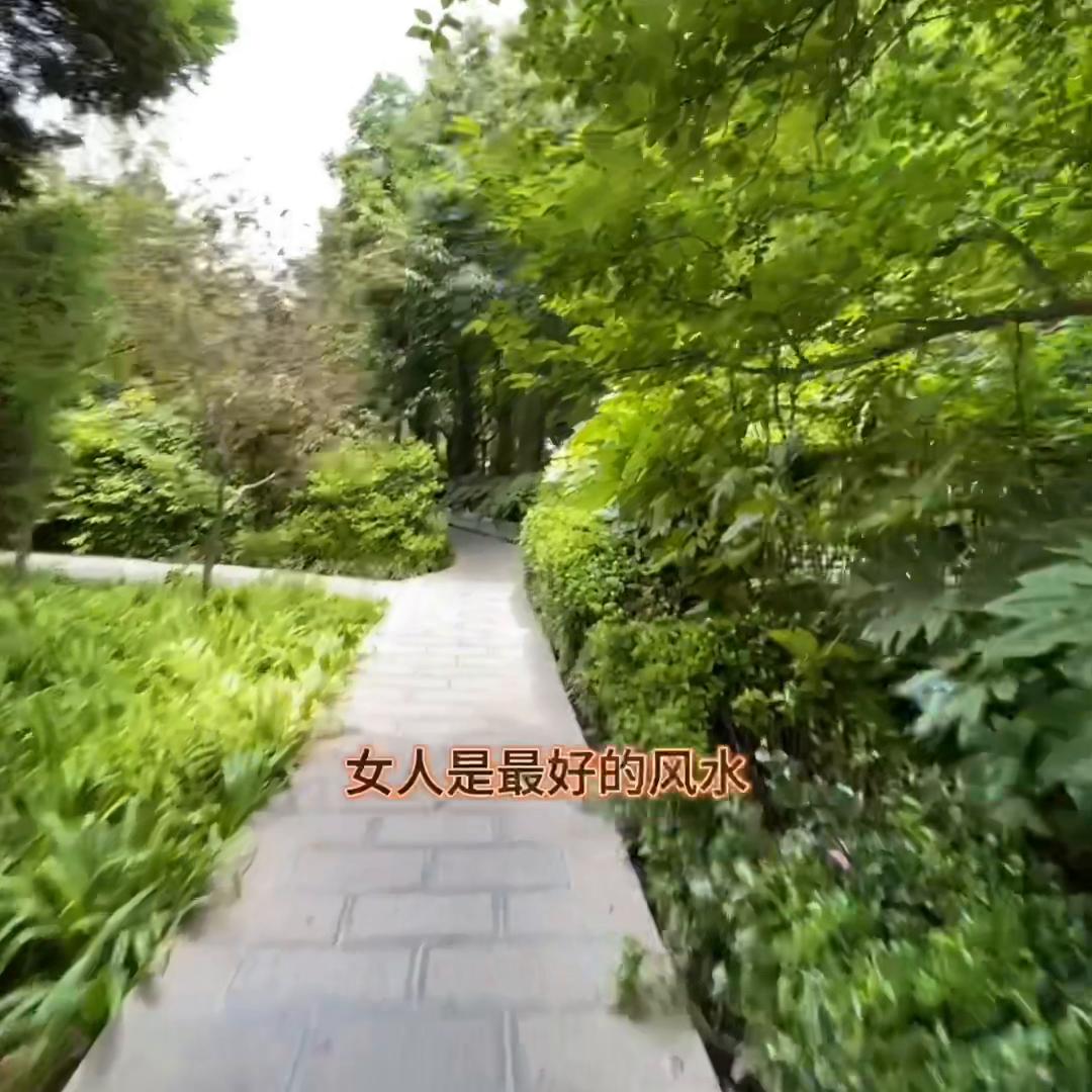 没有白走的路每一步都算数的英语,没有白走的路每走一步都算数