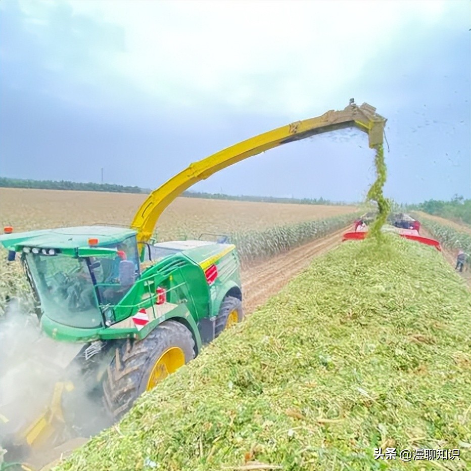 发酵*制剂抑**在青贮中十分常见,会对其中的微生物造成影响吗?