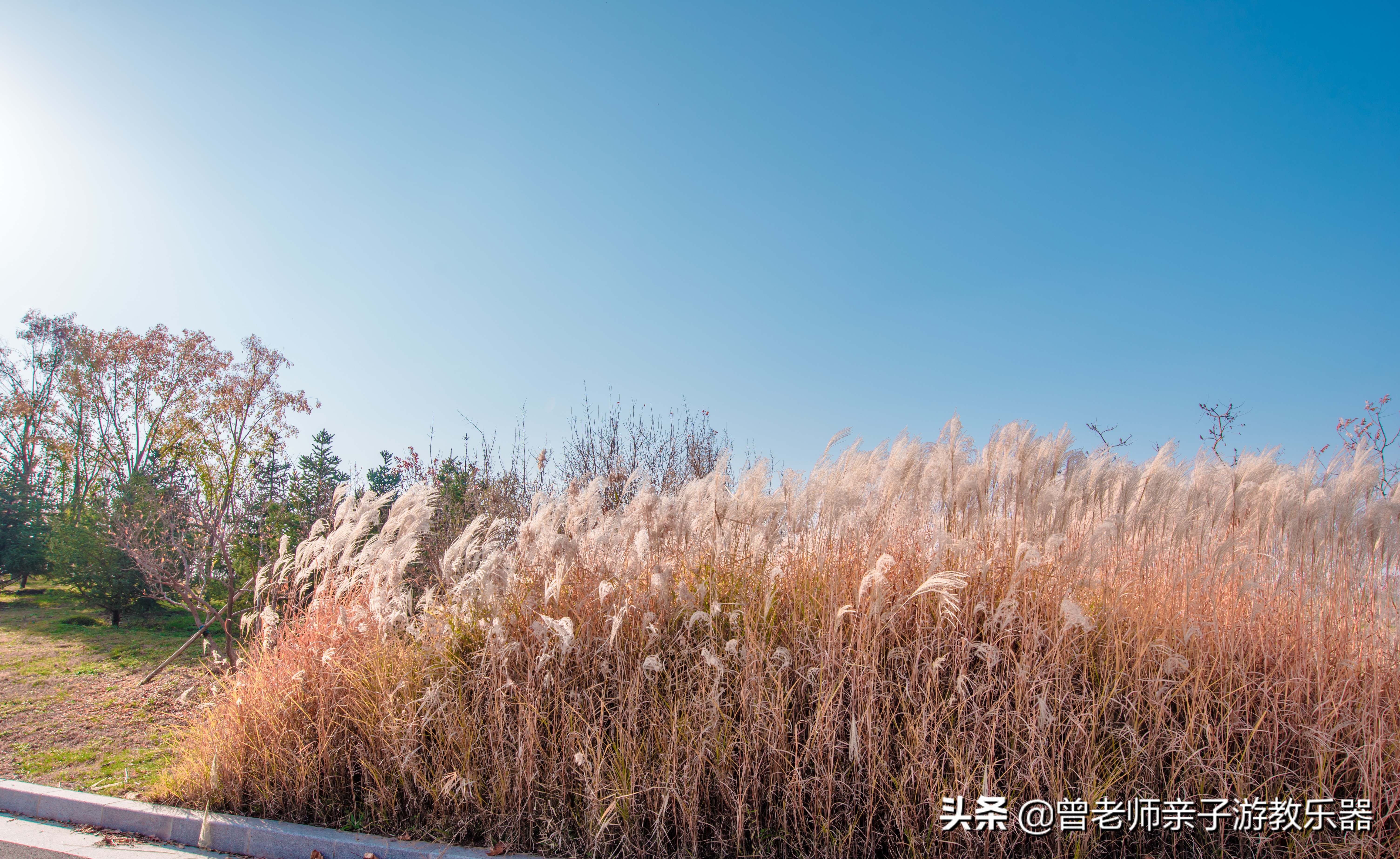 秦汉渭河湿地公园儿童,渭河湿地公园儿童乐园