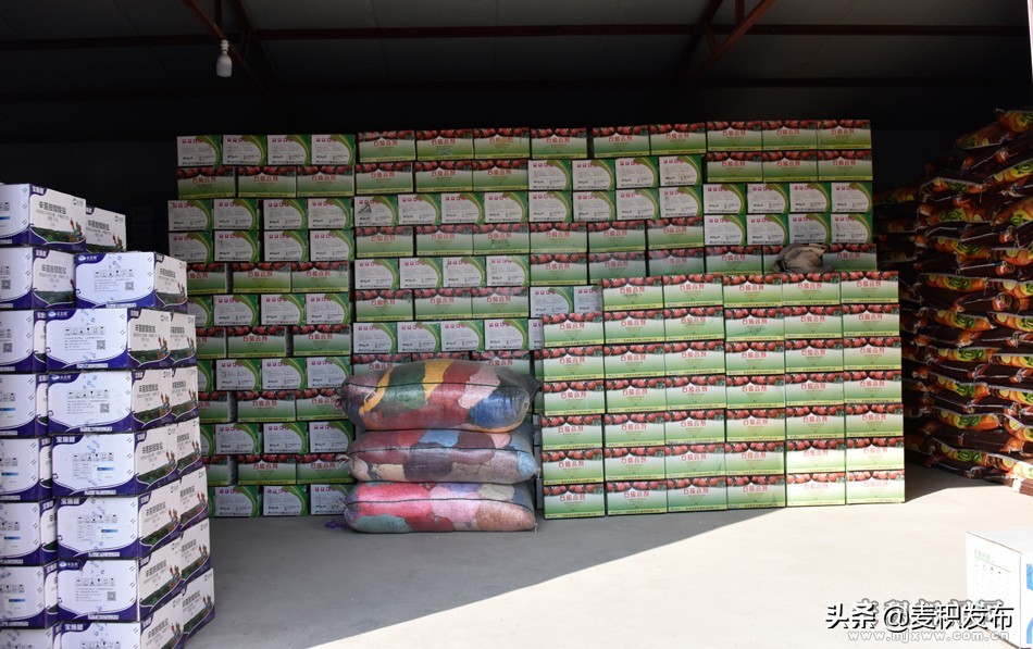 供销社创新为农服务手段,强化县级供销合作社统筹运营能力