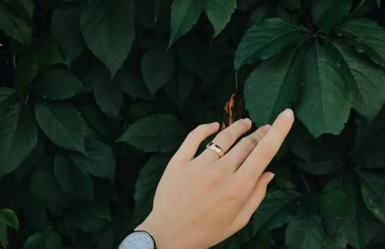 不想结婚怎么办,不想结婚最好的解决方法