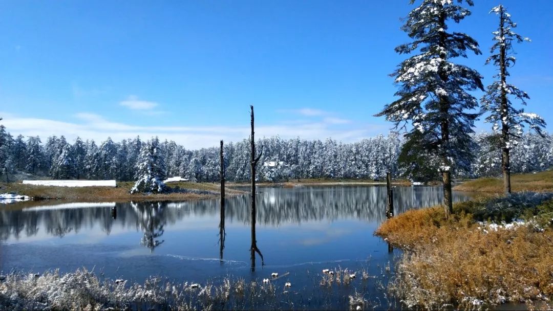 在四川遇见鞠婧祎,四川玩雪旅游推荐瓦屋山