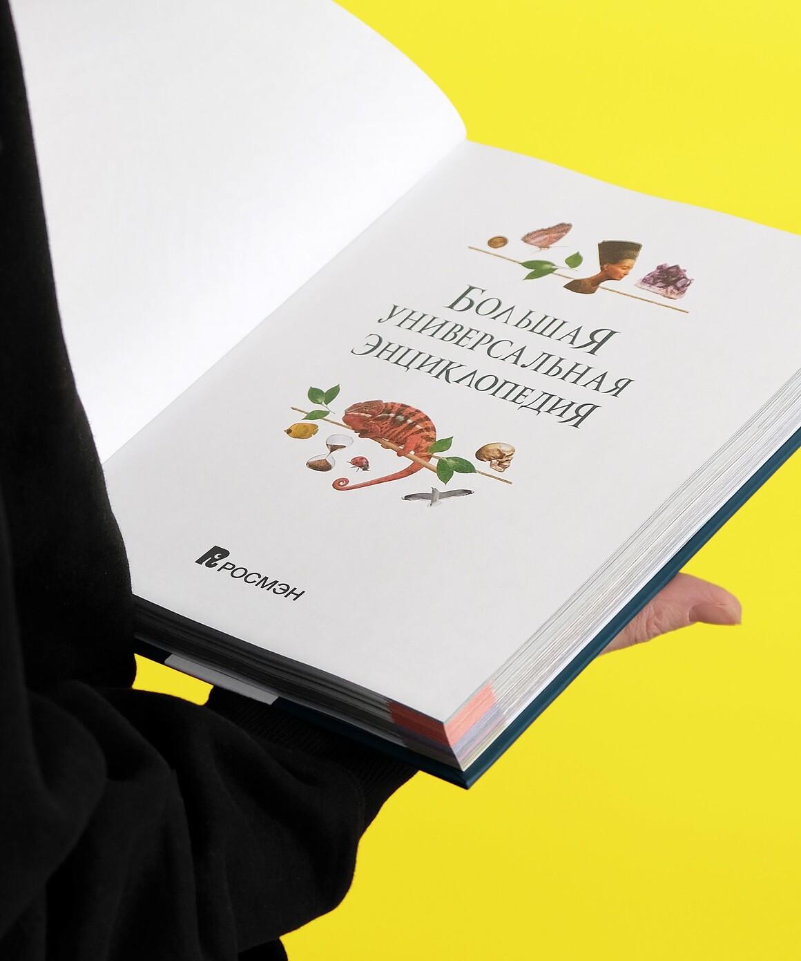 大象母婴logo设计,儿童品牌logo在线设计