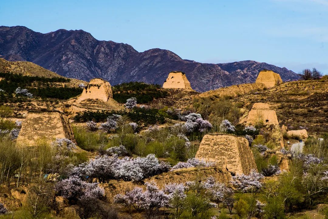 迎接党的20大美术作品,喜迎二十大乡村摄影展