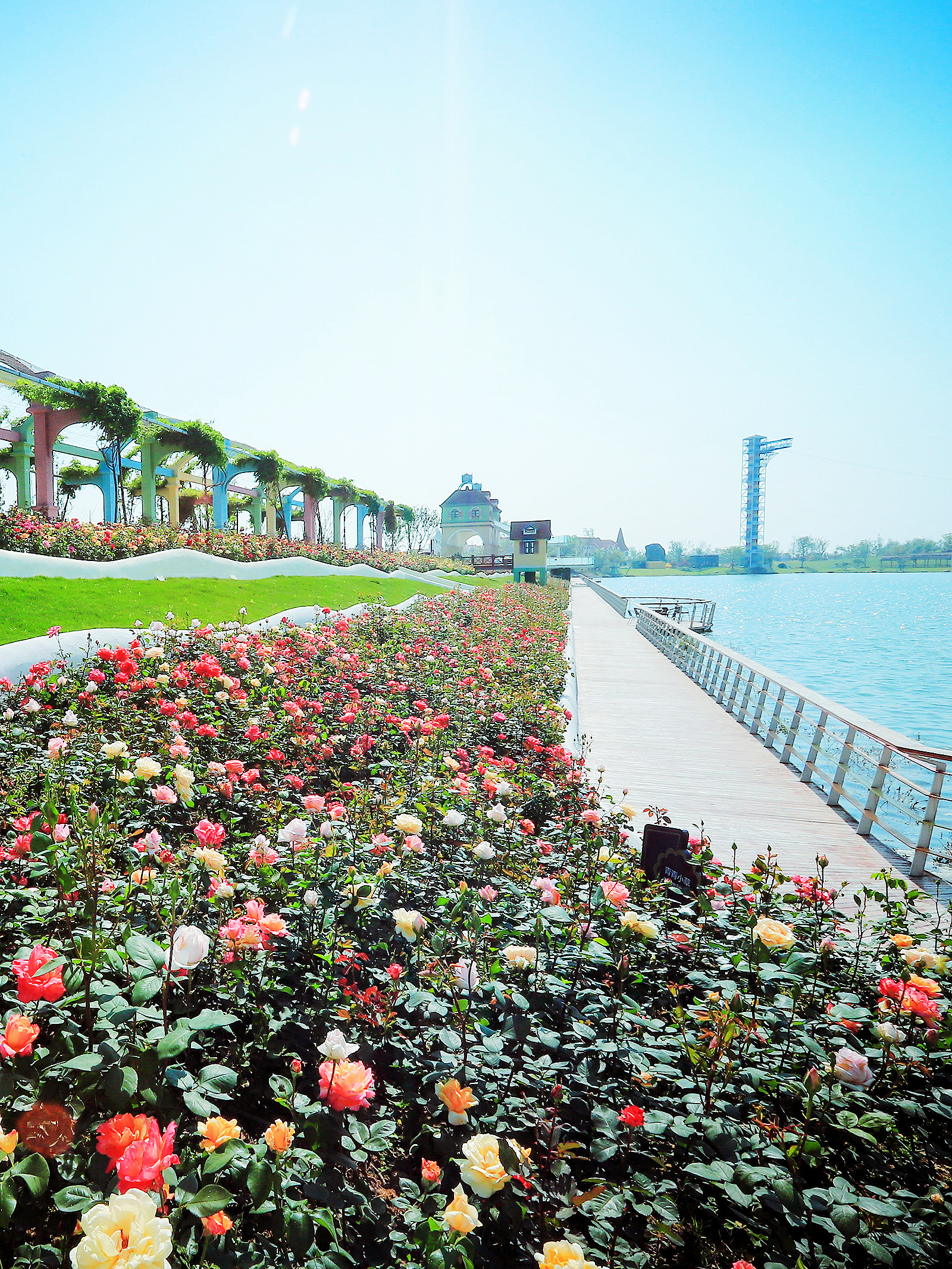 合肥周边游玩景点推荐祥源花世界,合肥祥源花世界旅游区