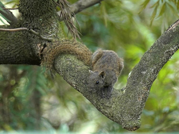 赏城中美景，品厦门味道。城市中心C位酒店，毗邻植物园、中山路