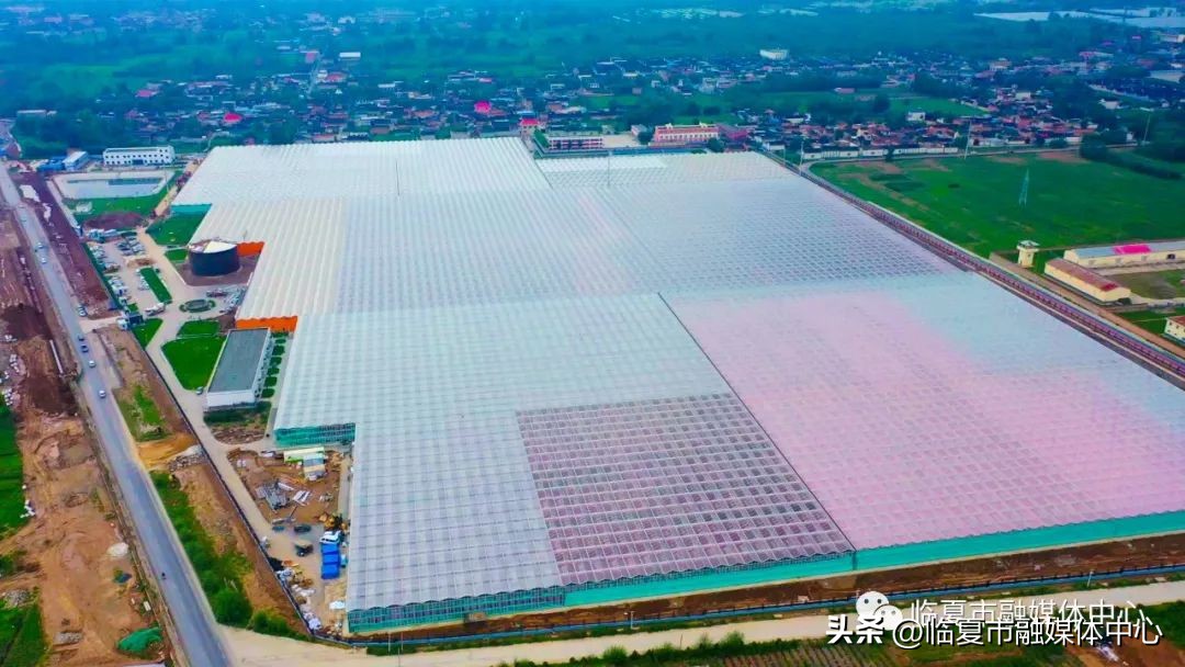 为高质量发展高质量跨越贡献力量,为高质量发展开好局