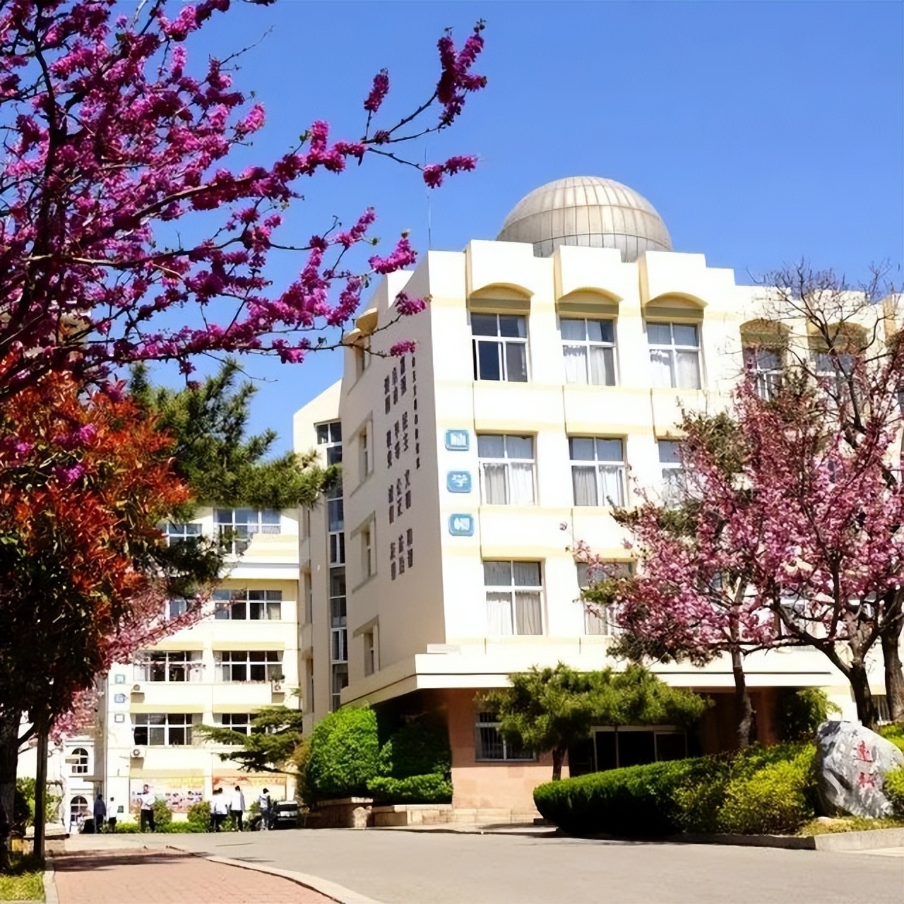 青岛十七中美术升学,青岛十七中校区