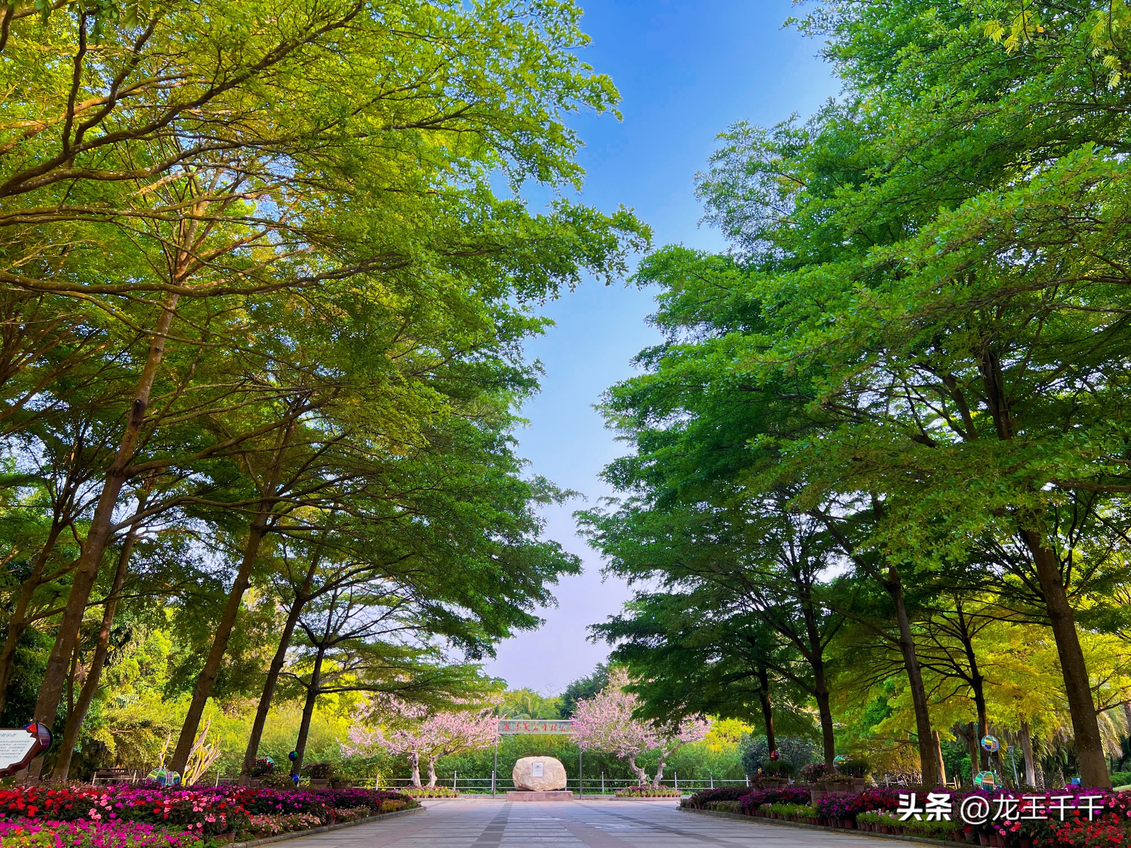 文旅复苏发展前景图,文旅产业对经济的发展