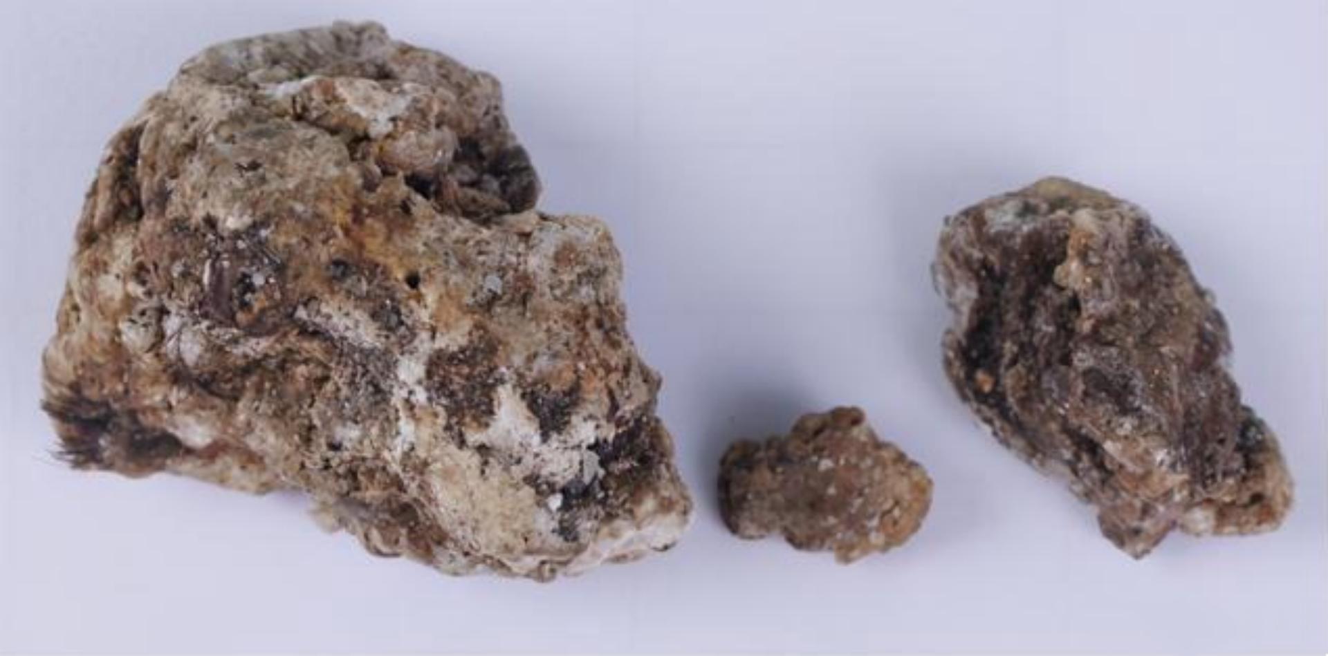 渔民在印度洋捞鱼发现尸体,也门渔民捡到127龙涎香