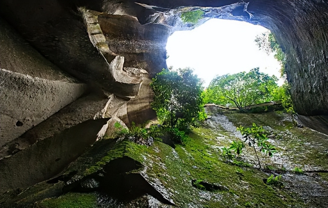 蛇有寿命为啥野外看不到死蛇,蛇活百年为蟒
