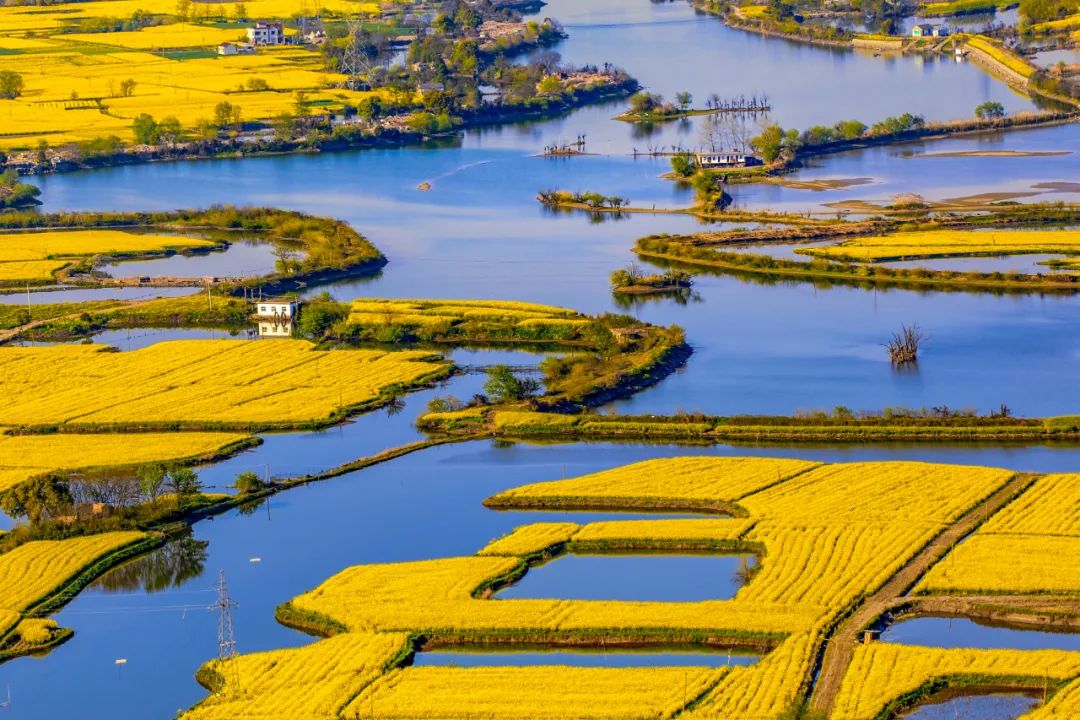 2023年是第几届中国农民丰收节,中国农民丰收节活动开幕