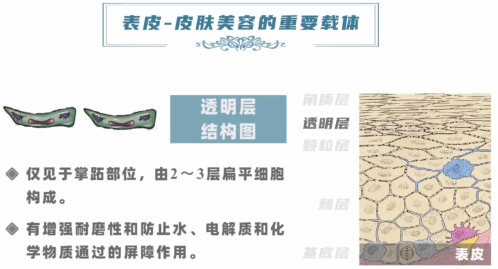 你真的认识你的皮肤吗,你了解你的皮肤吗