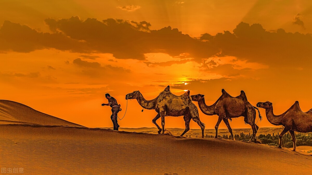 在龙湖上班收获了什么,龙湖工作的真实感受