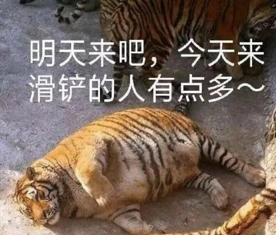 怎么撒一个善意的谎言,如何撒一个善意的谎言