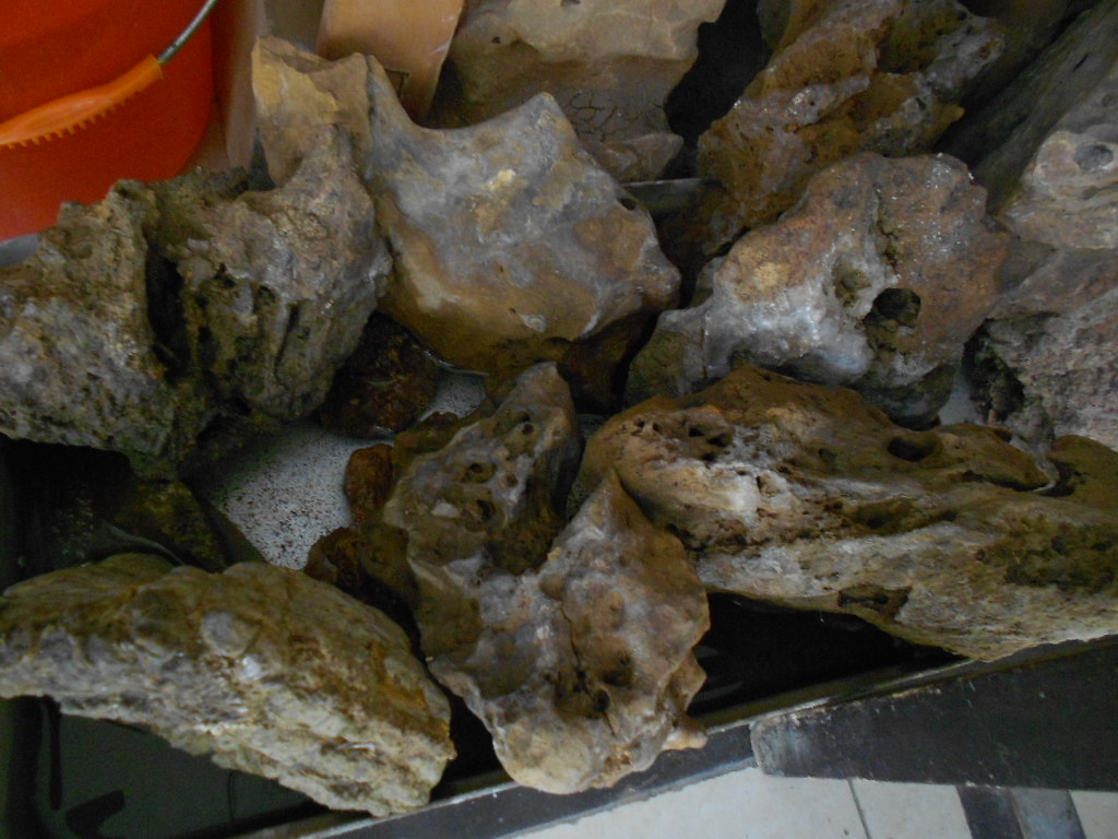 河边捡的哪些石头值得收藏,收藏精品石头