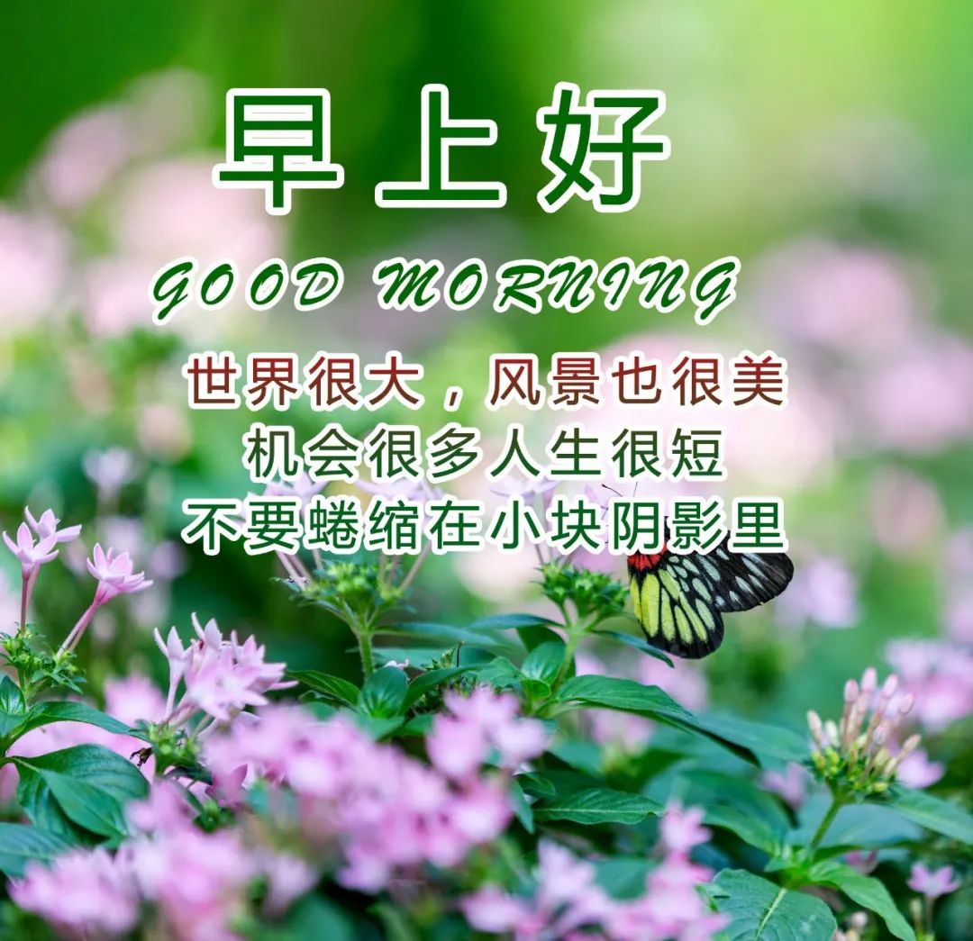 早安愉快带字动态图片,最好看的早安动态图片大全