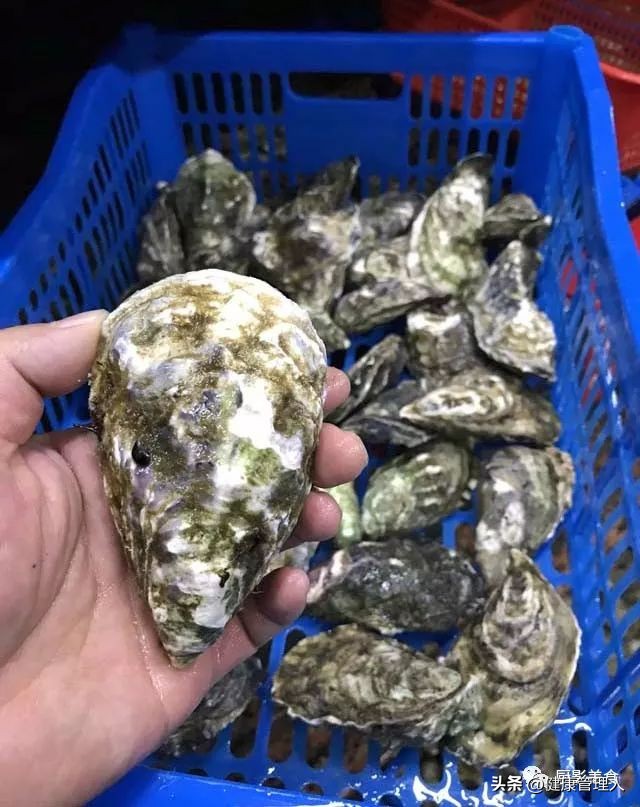 世界顶级海鲜食材,世界顶级的海鲜视频