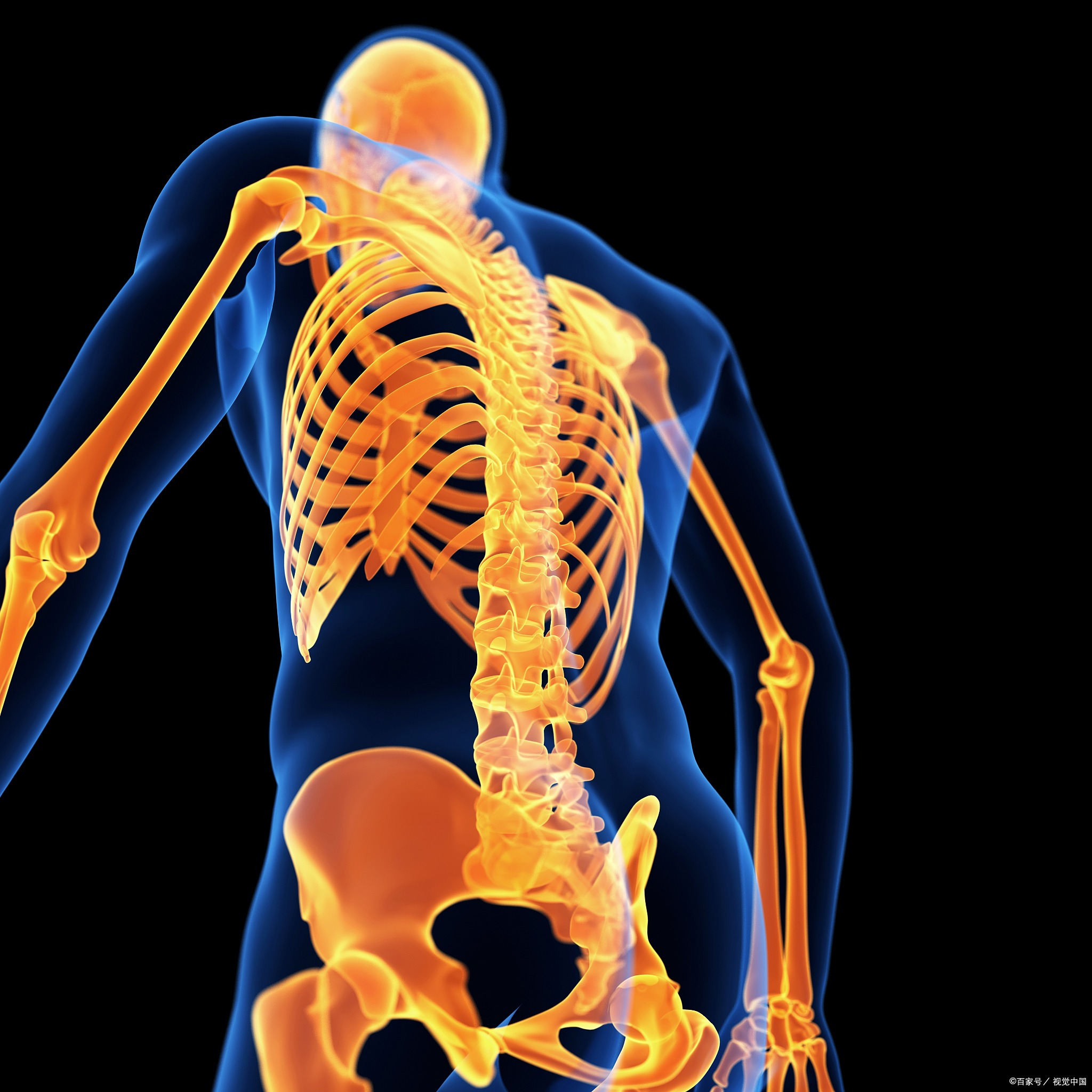 脊柱锻炼三个思路,脊柱劳损正确锻炼方法