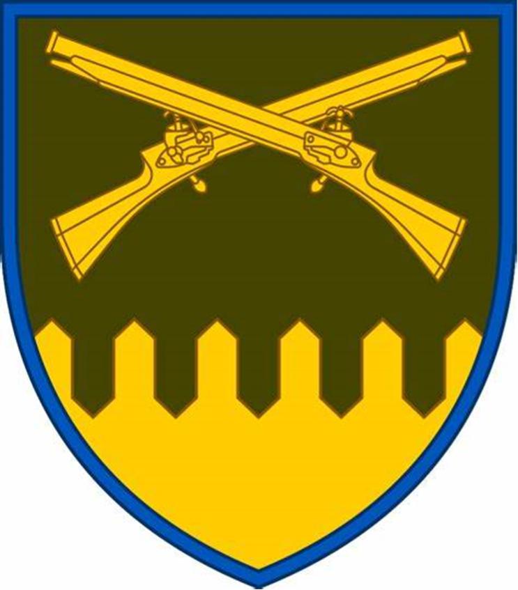 乌军主力还剩多少,乌军大反攻有多少兵力