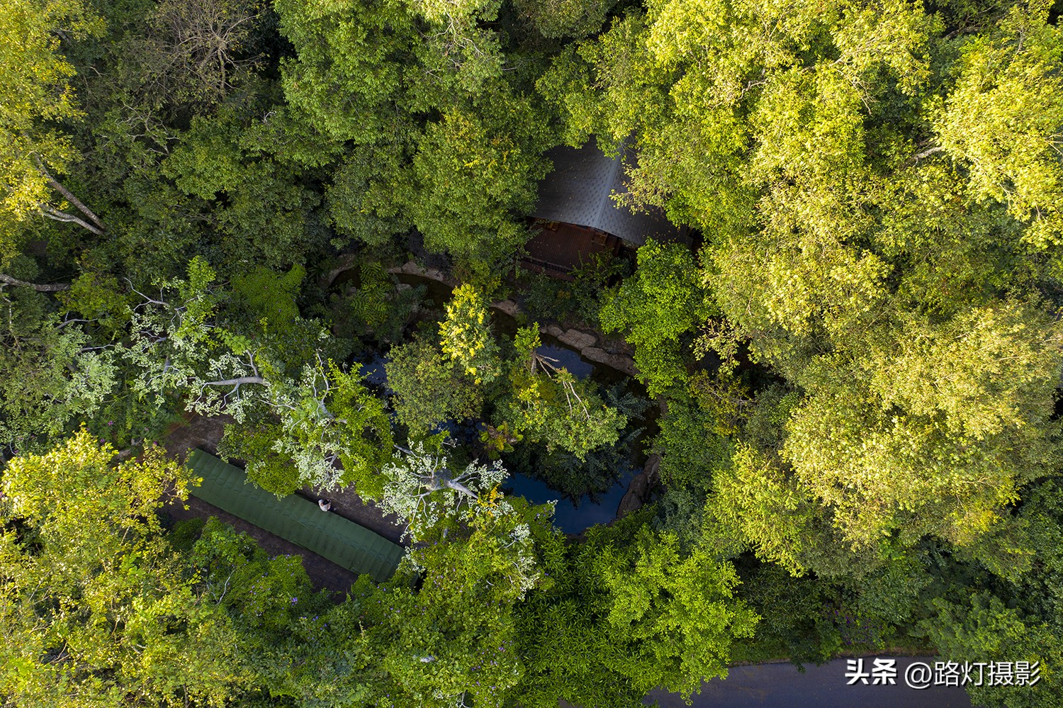 普洱与昆明谁更适合养老,普洱和弥勒哪个更适合养老居住