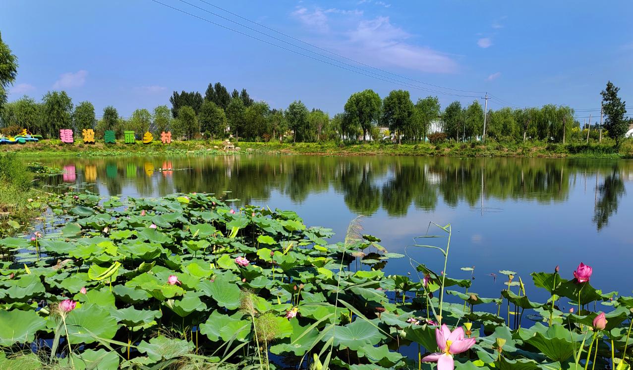 喜迎二十大奋进新时代视频开头,喜迎二十大奋进新征程主题微视频