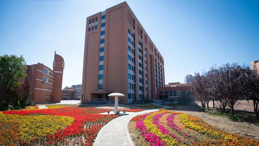 天津国际学校可以报哪些留学国家,天津国际学校可以参加国内高考吗