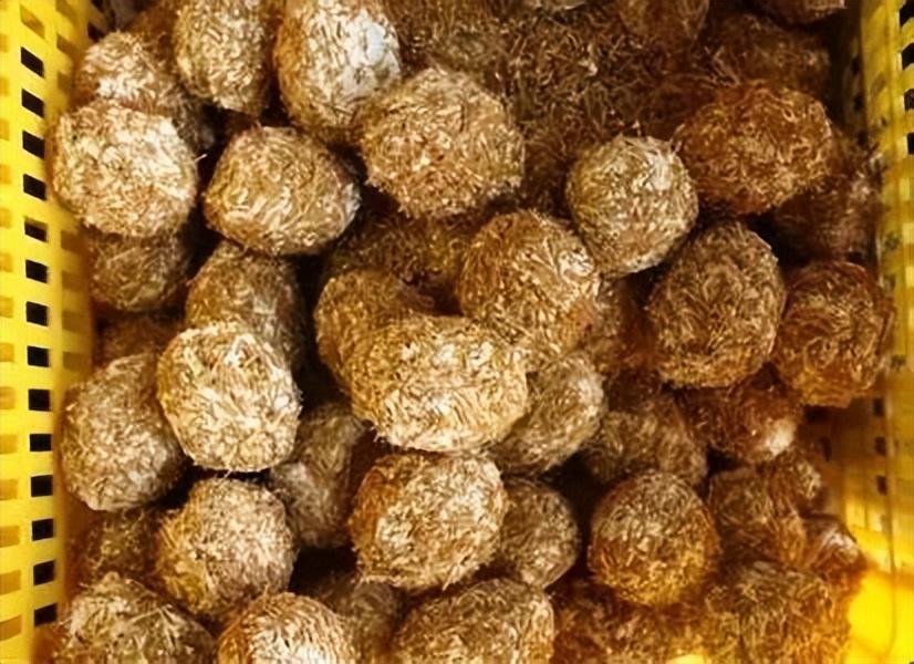 松花蛋内幕,松花蛋的名称怎么来的