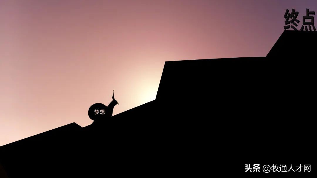 啥罪都遭过！学兽医专业的人都很苦？养猪、配种、防疫、做检测