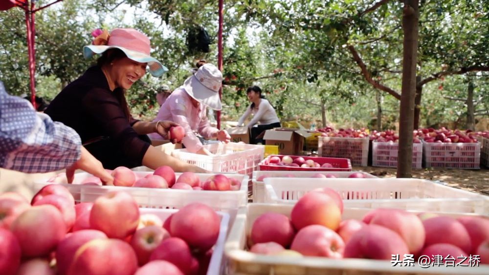 大型政论片初心,大型政论专题片