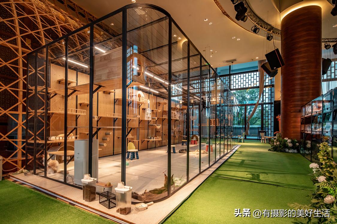 临潼悦椿温泉国际酒店,西安悦椿温泉酒店夏天游玩攻略