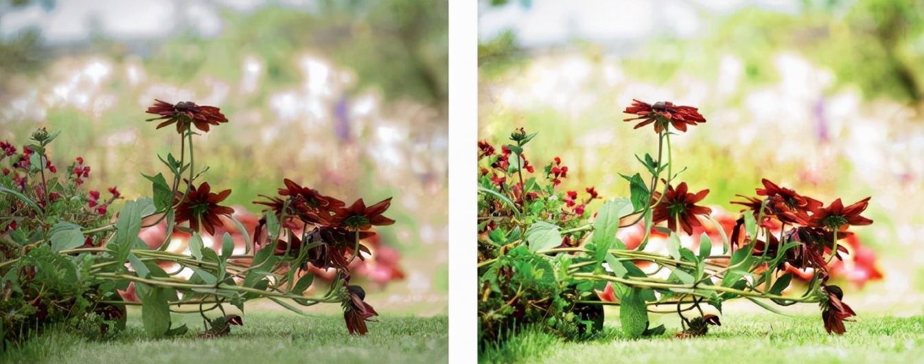 悟空带你看星星,悟空视觉表现