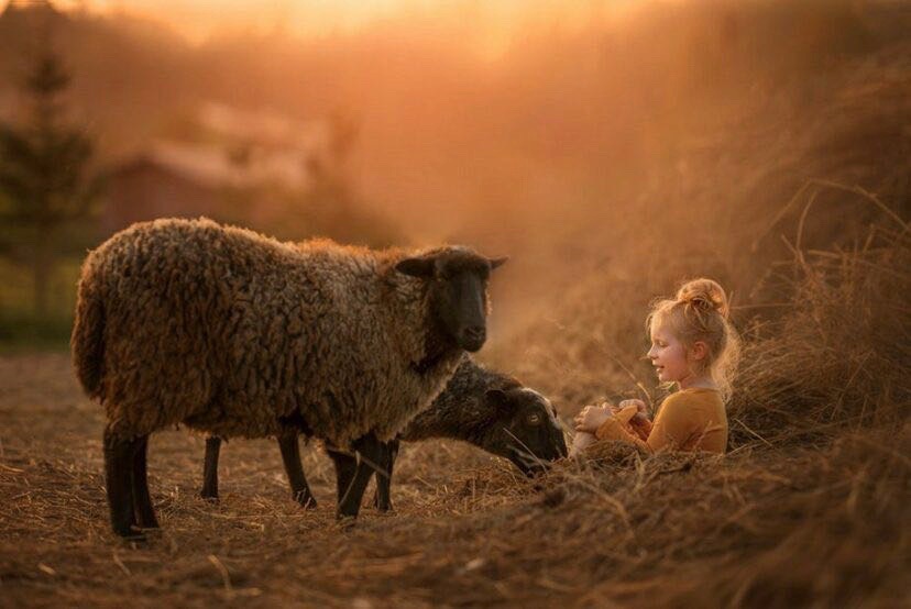 爱上一个久恋不婚的男人，劝你早放手，拖下去，最后难堪的只是你