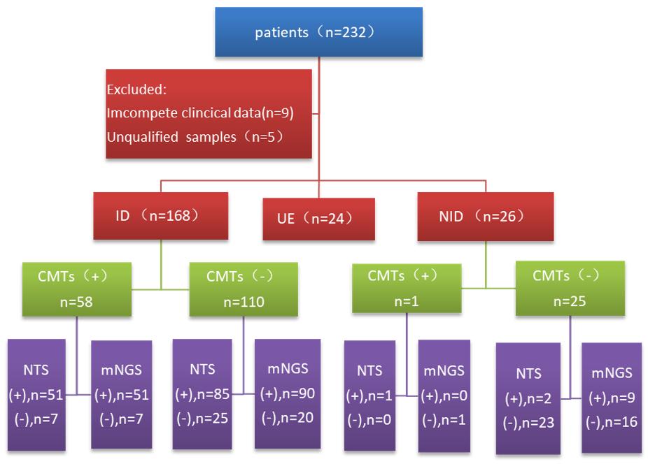 鍛ㄥ崕鍖荤敓瀹屾暣瑙嗛,婀栧寳涓尰鑽ぇ瀛﹀壇鏁欐巿鍛ㄥ崕