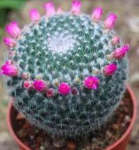 瀹舵湁鐩寸敺,瀹舵湁鐩寸敺瀹屾暣瑙嗛