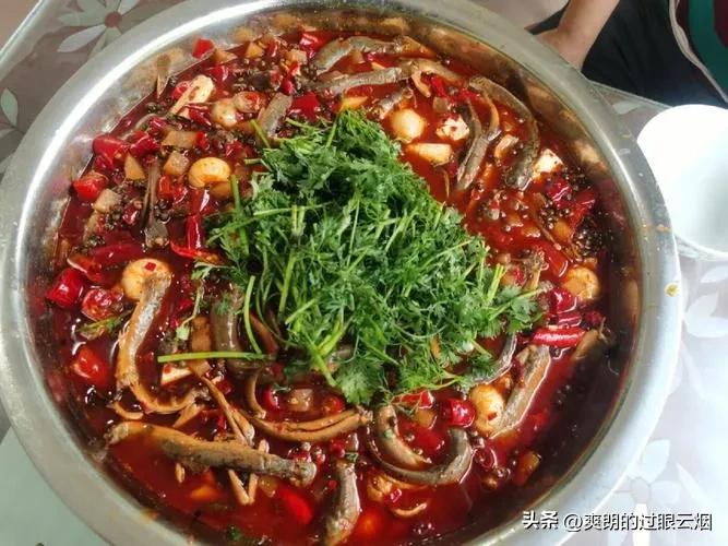 鲶鱼是世界上最脏的鱼,中国十大最脏鱼是什么鱼