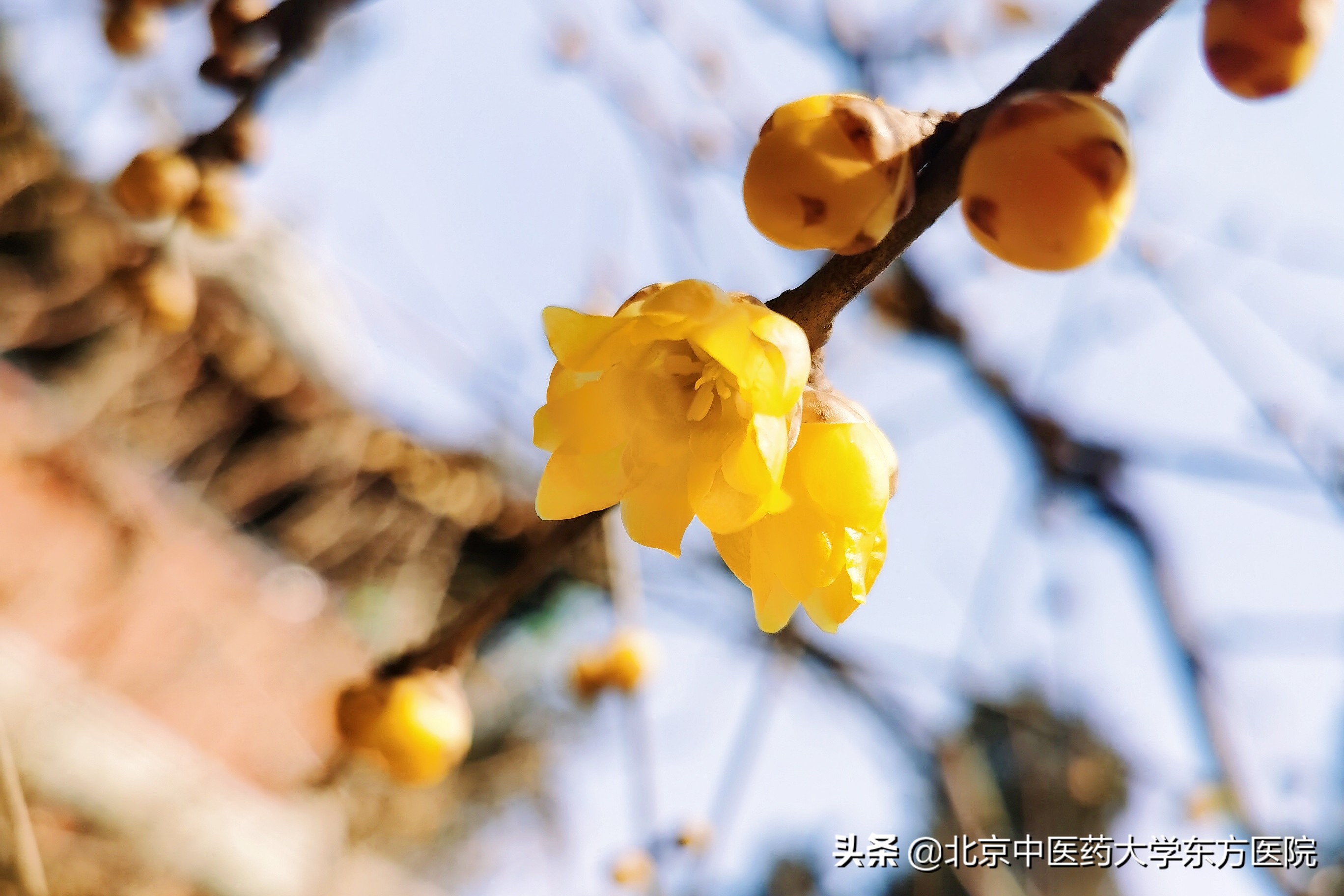 雨水天煲什么汤祛湿,春天雨水多湿气重如何祛湿