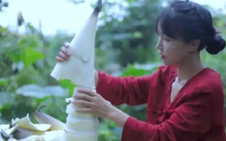 李子柒视频最新外网评论,李子柒最新视频外网评论