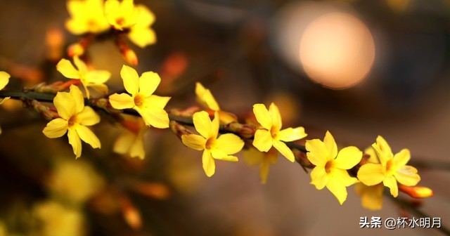 43岁大姐跟50岁老头搭伙，没啥！月领5000元！攒老本，供妮上大学