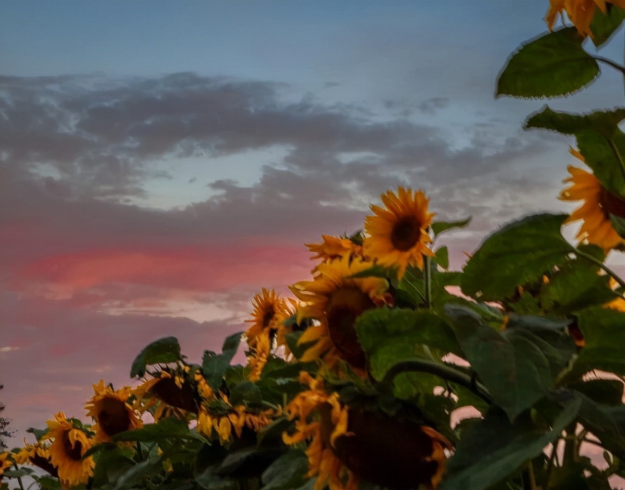 普普通通却带有深意的情绪文案,普普通通却又很惊艳的文案